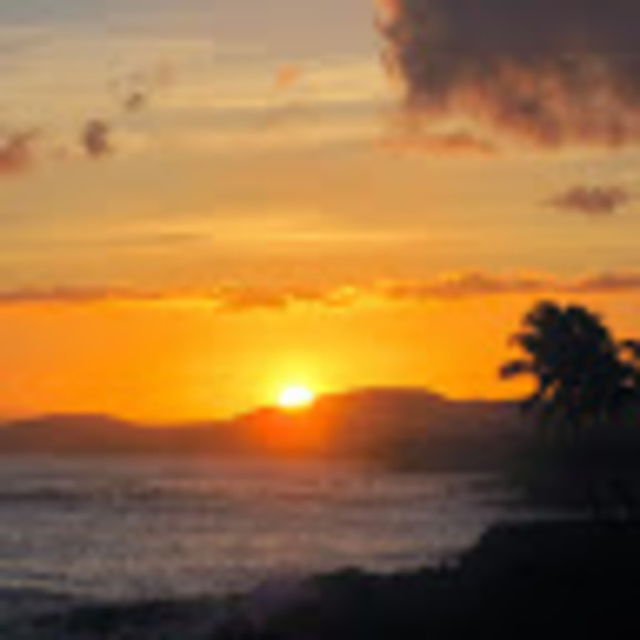 Meet the Posher Other - Meet your Posher, Caroline